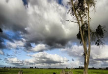 英格兰大胜瑞士，提前锁定欧国联小组头名