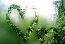 里昂豪取胜利，升至联赛榜首