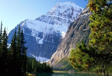 里昂遭遇失败波尔图，球队郁闷等待反弹