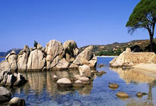 哈兰德宣布参加欧洲冠军赛，球迷兴奋