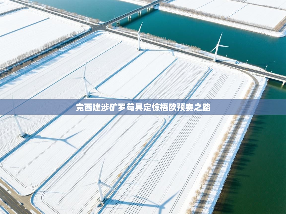 竞西建涉矿罗苟具定惊梧欧预赛之路  第1张